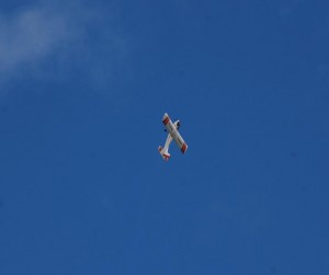 DSC_5562