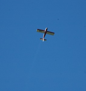 DSC_0091